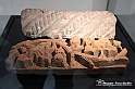 VBS_4142 - Mostra Il Rinascimento in Piemonte - Castello della Rovere - Vinovo 